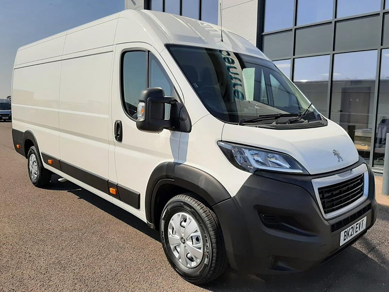 Boxer Fan Hire Norfolk